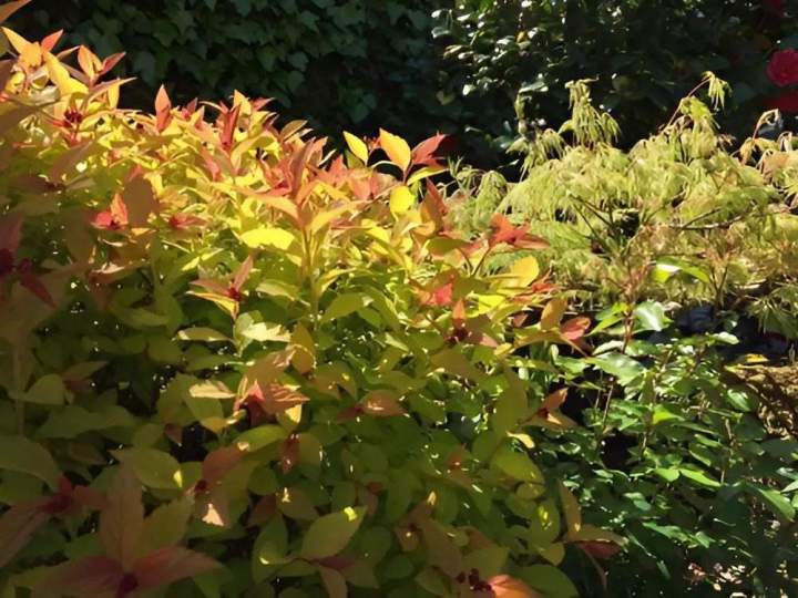 Créateurs de pelouse Nantes