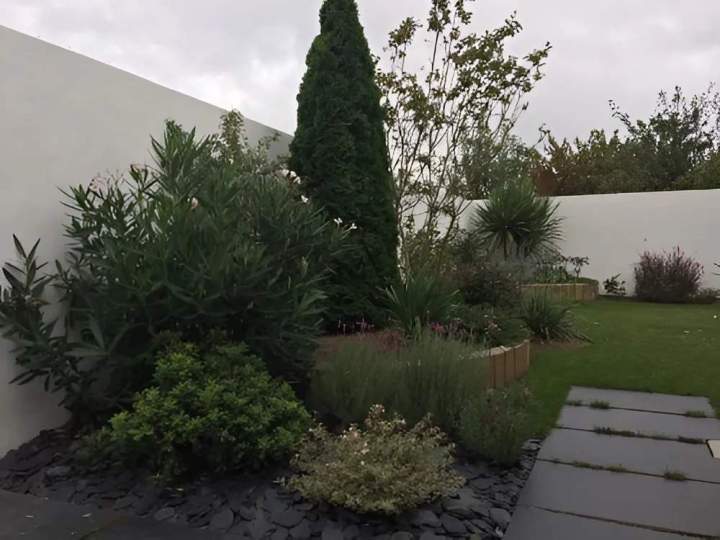 Création de pelouse Nantes