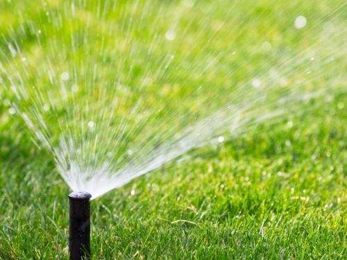 Système de gestion hydrique optimisé pour un jardin bien arrosé tout au long de l’année