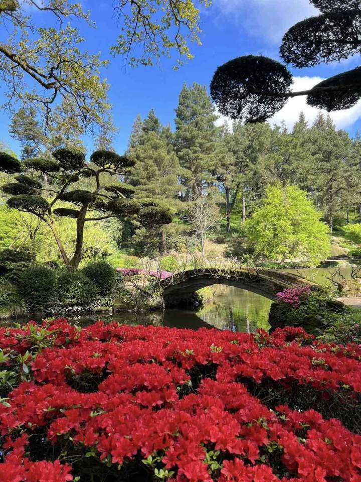 Création de jardins Nantes