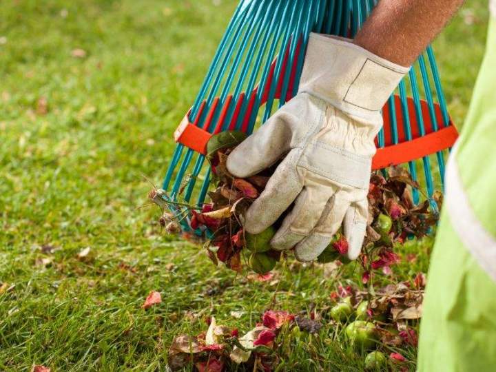 Service de ramassage de feuilles Nantes